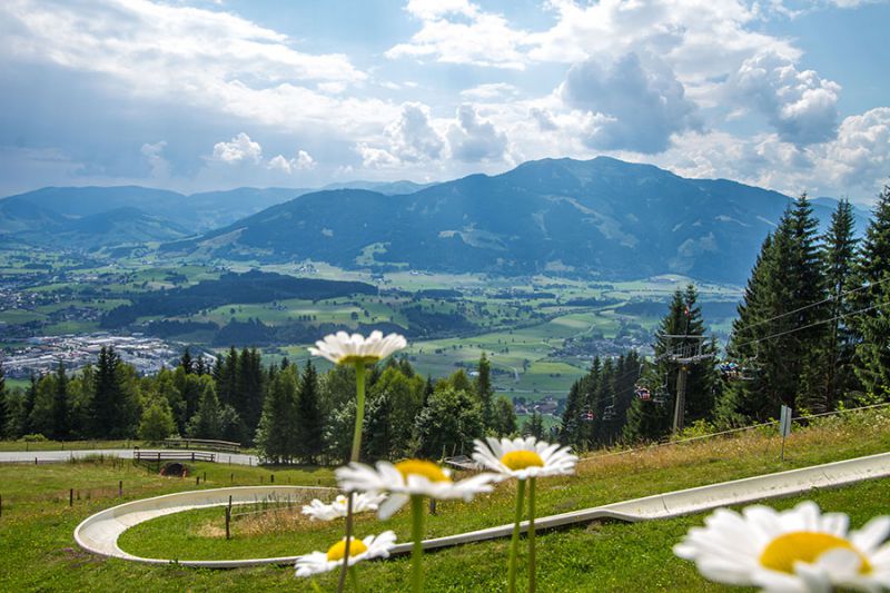 Sommerrodelbahn 1